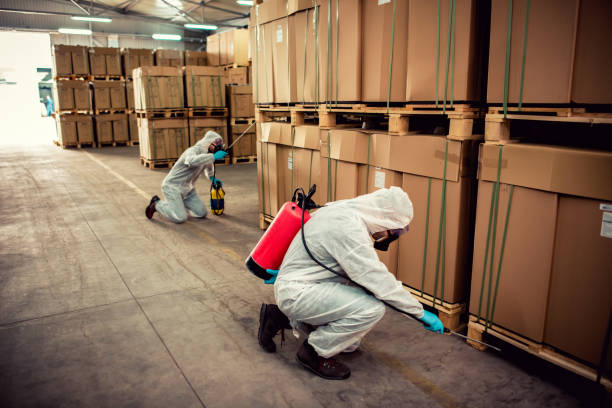 Best Ant Control Services  in Myrtle Grove, FL