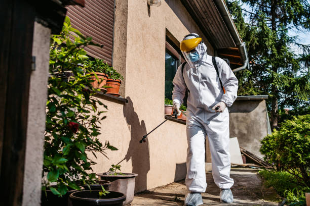 Insect Control in Myrtle Grove, FL