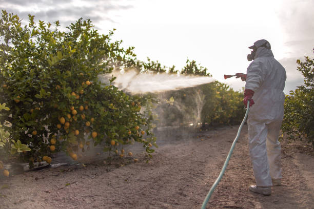 Best Residential Pest Control  in Myrtle Grove, FL